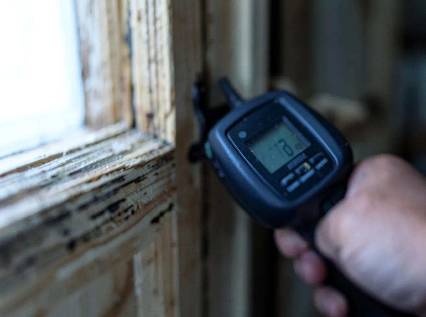 Moisture Inspection And Documentation in Grand Coteau, LA